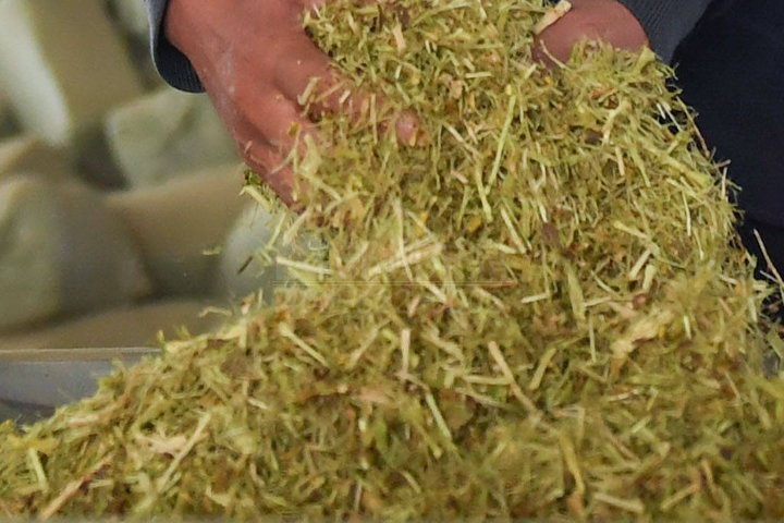 生物質(zhì)烘干機廠家鄭州東鼎干燥開發(fā)了大型檸條烘干機成套設(shè)備，實現(xiàn)了檸條資源規(guī)模化利用之路。